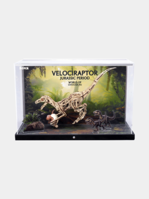ROKR Velociraptor Display Showcase