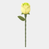 ROKR Floral Art Series -- Green Rose AD023
