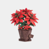 Rowood Poinsettia DIY Flower 3D Wooden Puzzle TF001