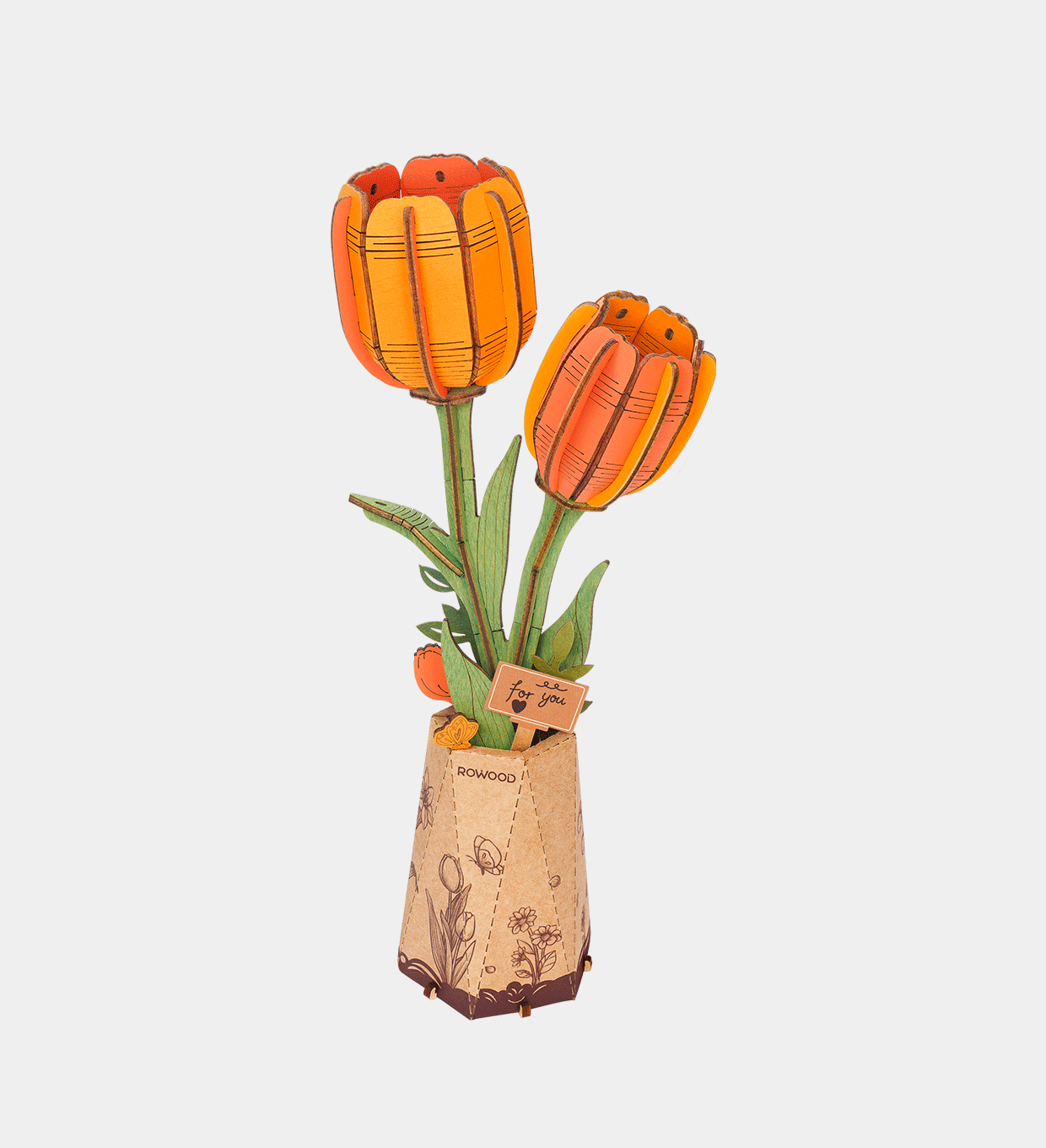 Orange Tulip