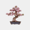 Rolife Sakura Bonsai DIY Wooden 3D Puzzle TG415