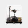 Manta Ray Display Showcase MI06Z