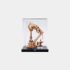 ROKR Magic Harp Music Box Wooden 3D Puzzle AMK71Z